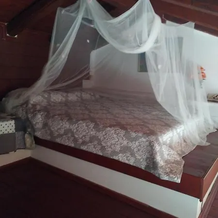 Country Art Alkyoni Daire