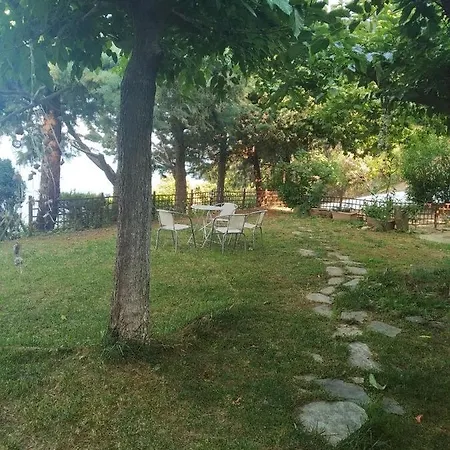 Country Art Alkyoni * Kókkinon Nerón