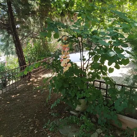 Apartman Country Art Alkyoni *