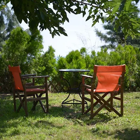 Country Art Alkyoni Apartment